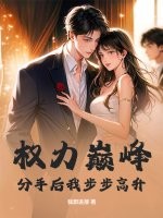 权力巅峰:分手后我步步高升