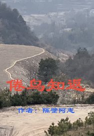 倦鸟知返
