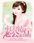亿万契约:杠上钻石老公