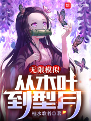 无限模拟:从木叶到型月