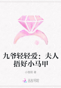 九爷轻轻爱:夫人捂好小马甲